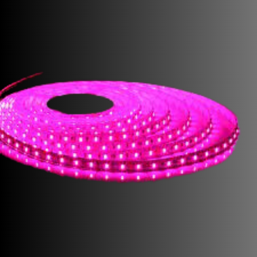 2835-240-led-strip-pink-ledmarket