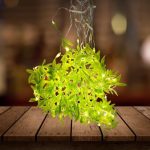 LED Leaf Light